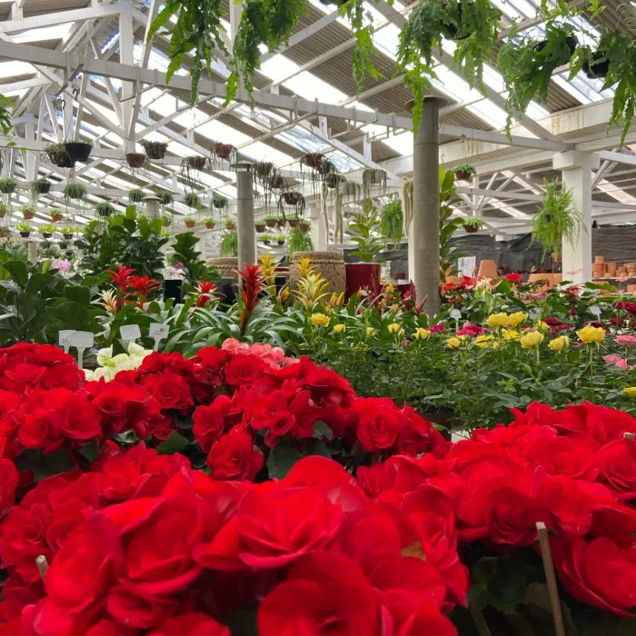 Imagem do WhatsApp de 2025-05-02 à(s) 09.39.54_9f3dc0ea