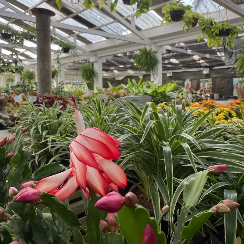 Imagem do WhatsApp de 2025-05-02 à(s) 09.45.51_4d45cd19