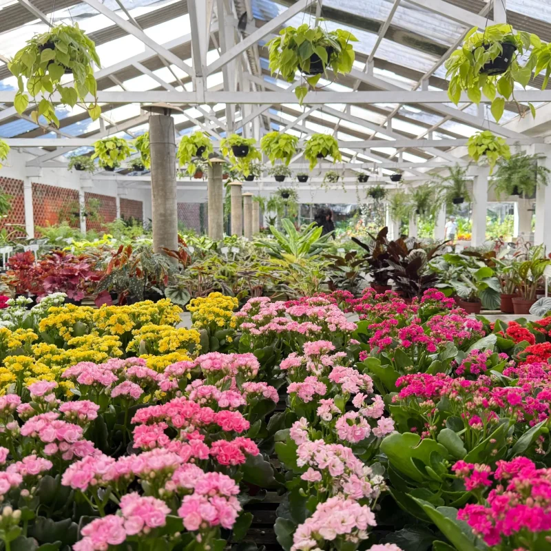 Imagem do WhatsApp de 2025-05-02 à(s) 12.18.36_e8fb3ca0